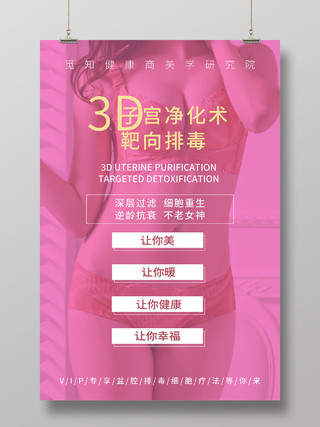 粉色大气3D子宫净化术靶向排毒女性私密海报